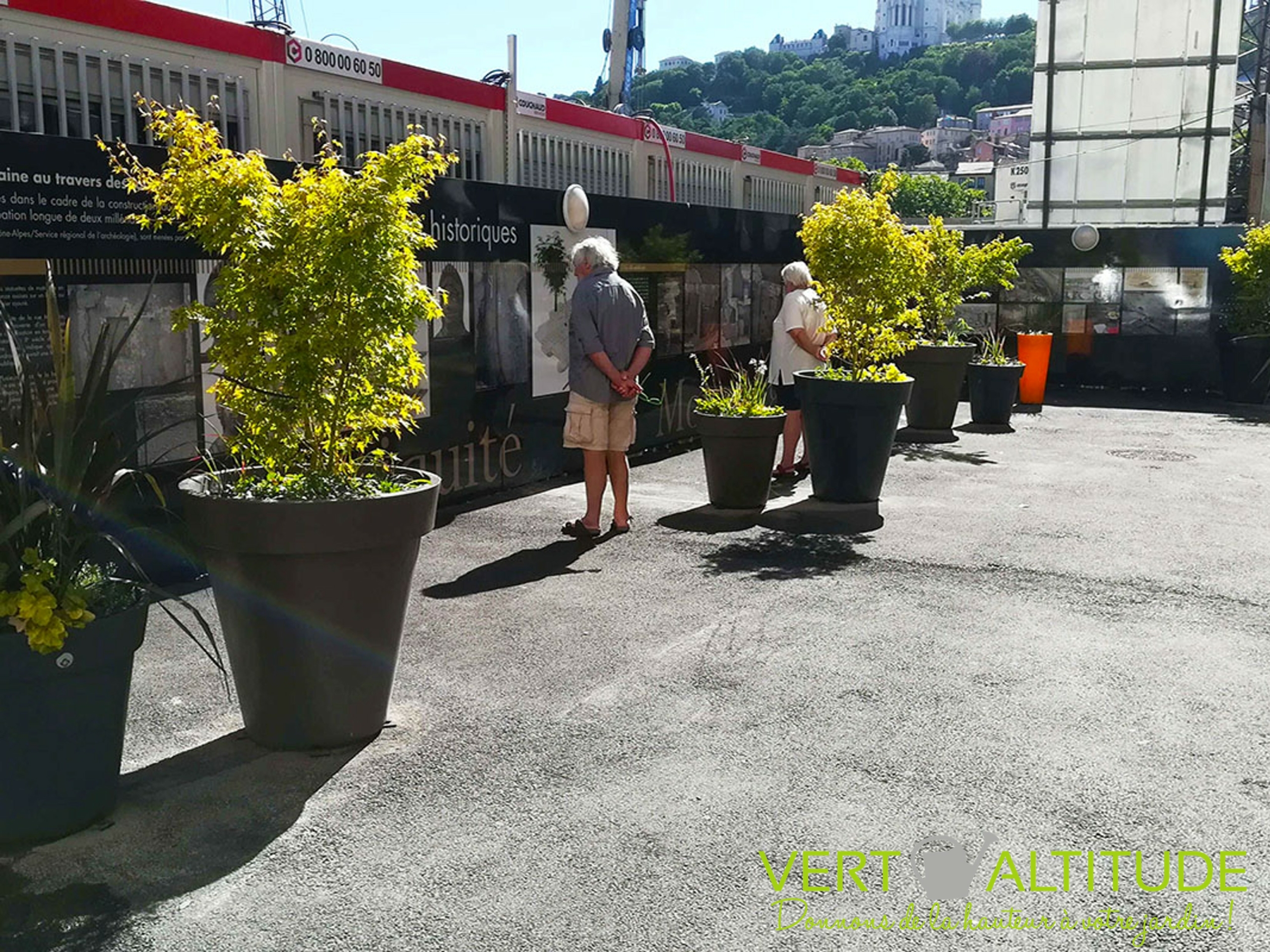 Parking LPA arboré pendant travaux à Lyon Vert Altitude Paysagiste