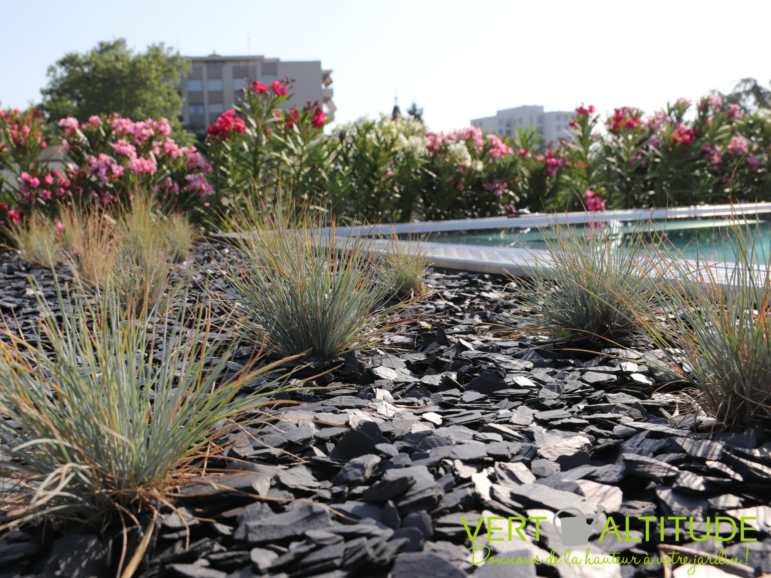 Terrasse avec piscine à Lyon pour un particulier - Lugdunum