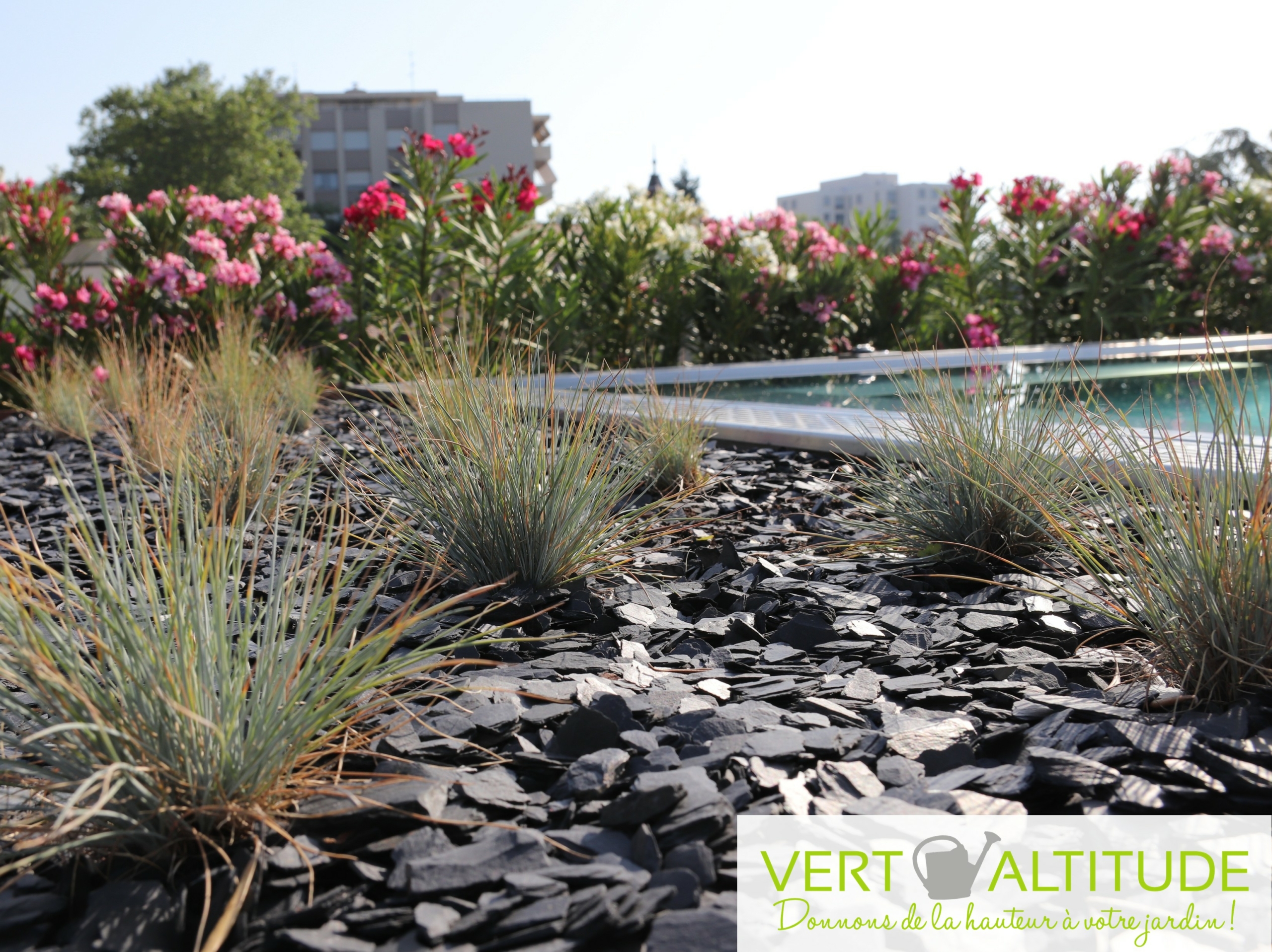 Terrasse avec piscine bordée de lauriers roses et paillage minéral à Lyon pour un particulier - Lugdunum