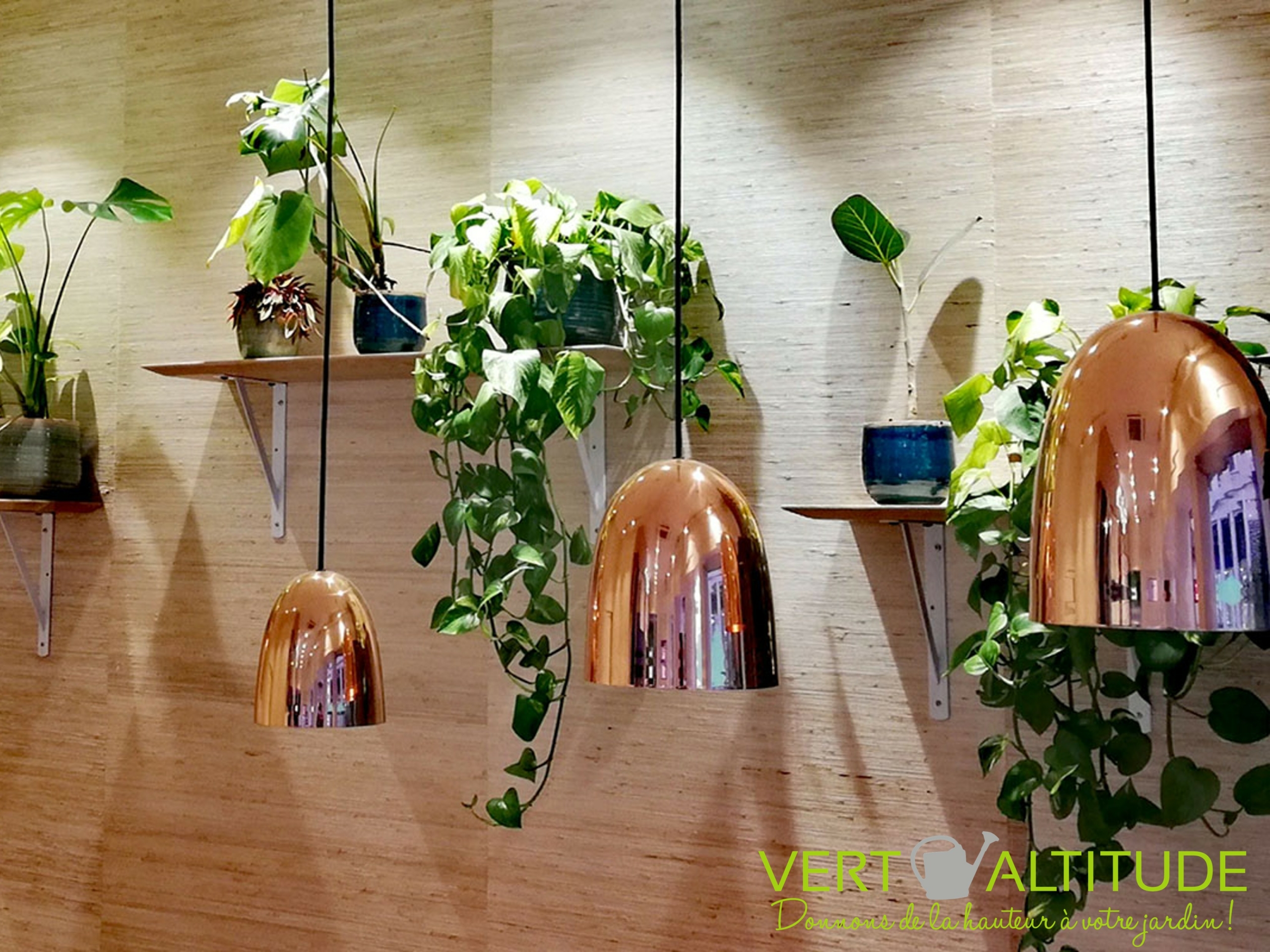 Végétalisation des murs d'un restaurant par un paysagiste Vert Altitude