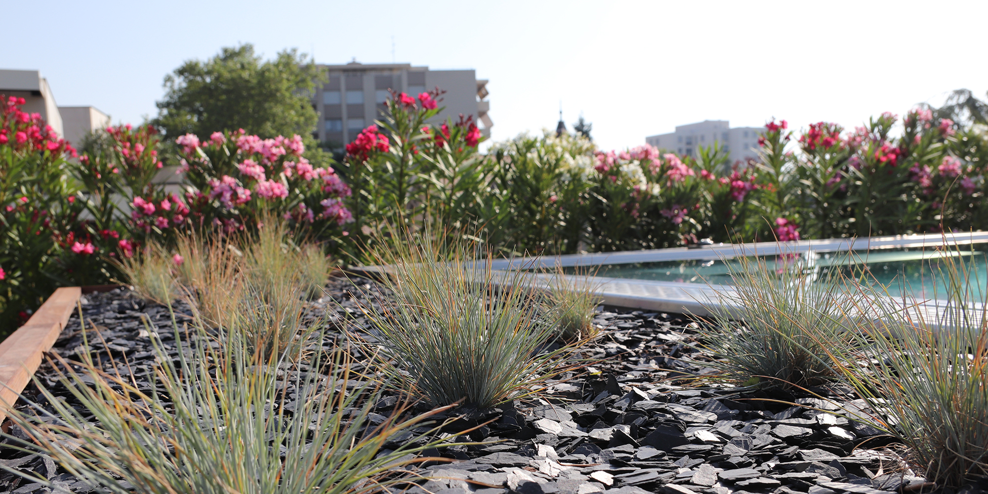 terrasse aménagée par Vert Altitude Paysagiste à Lyon