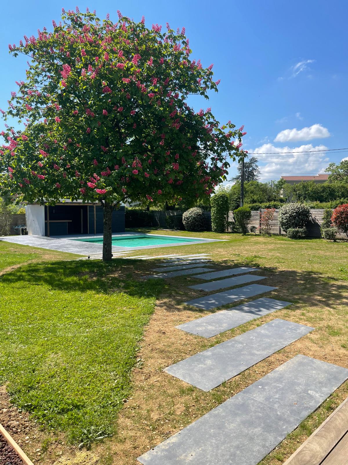 jardin avec piscine ombragée par un arbre et pas japonais