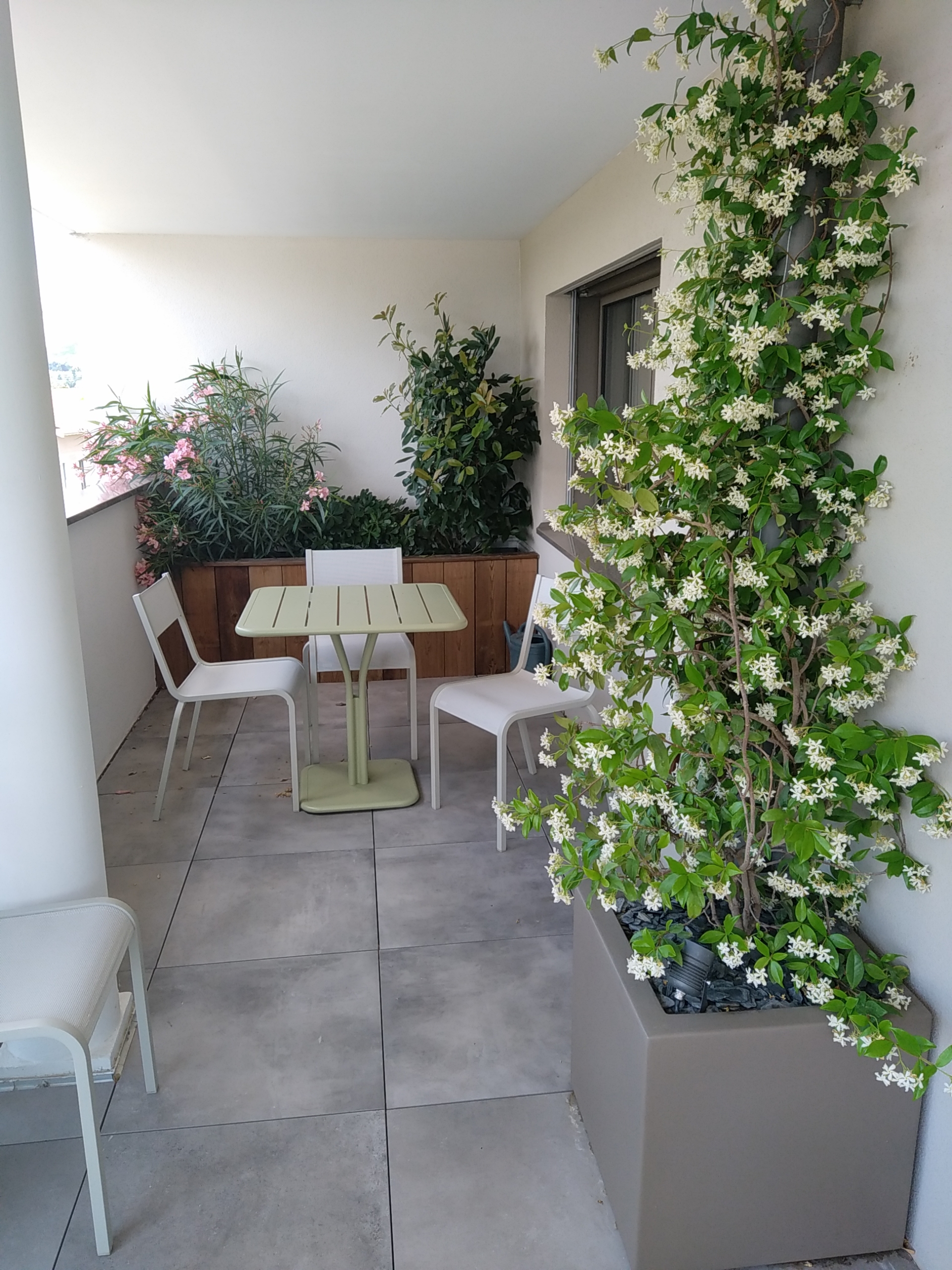 inspiration terrasses avec jasmin grimpant Vert Altitude paysagiste