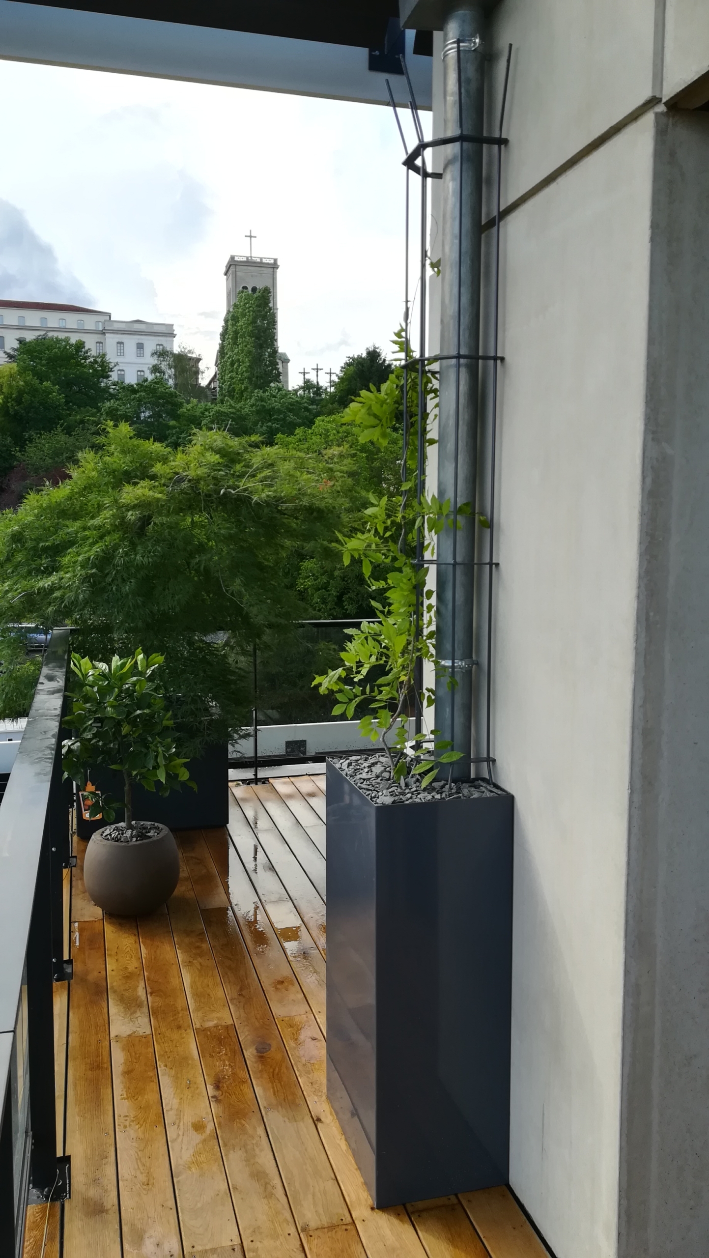 chéneau habillé par Vert Altitude paysagiste